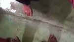 Holi color hot blowjob sex with Didi