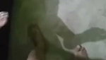 Indian couple paid sex video mms porn