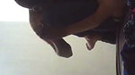 Indian guy fucking college senior girl