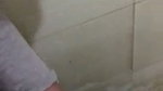 Indian office aunty sucking lund of boss in toilet