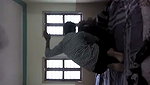 Indian wife in saree strip and fuck husband Porn