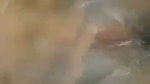 Mallu aunty sex vedios   Solo Masturbation
