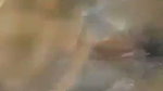 Mallu aunty sex vedios   Solo Masturbation