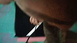 Nepali bhabhi sex video with her pervert devar
