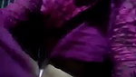 Village girl from Bangladesh naked tease video
