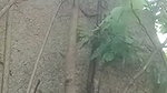 Boyfriend fuck his gf outdoor