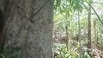 Boyfriend fuck his gf outdoor