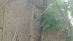 Girlfriend enjoying with bf outdoor