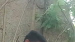 Girlfriend enjoying with bf outdoor
