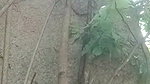 Girlfriend enjoying with bf outdoor