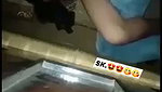 VID 20260721 WA0133