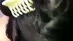 Desi Wife Sucking Dick And Fucking
