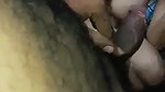 Desi Wife Sucking Dick And Fucking