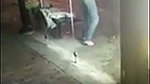 Homeless man getting head publically in down town Baltimore City