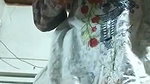 college girl nude show