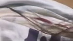 young girl pussy and ass show teasing