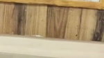 Boyfriend fucking hard in Doggystyle
