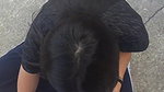 Amateur Young Girl Fucked At The Rooftop Of Her Neighbor House (Unseen)