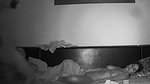 husband fuck his wife on sofa