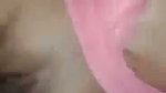 VID 20260722 WA0070