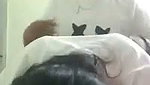 VID 20260722 WA0067