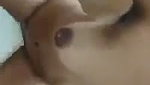 VID 20260722 WA0058