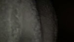 VID 20260722 WA0048