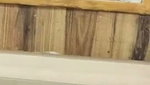 Indian Tanker Milf Sucking Dick Fucking part 3