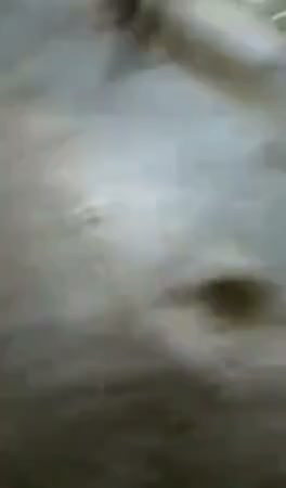 Frame 7