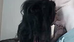 Sexy Indian NRI girlfriend hard blowjob to big