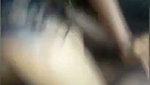 Tamil XXX with wifes friend mms