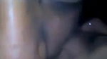 Bengali Bhabhi Getting Fucked