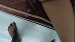 Roja Tamilponnu Live Fucking