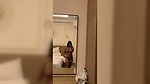 Chubby Instagram Model  itstaniyaa  Blowjob Fucking   5 Videos3
