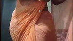 Honey Rose Tango Premium Nude Show