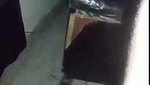 Delhi girl riding hard