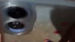 Girlfriend enjoying dick of bf
