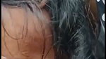 Girlfriend giving deeply Blowjob