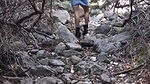 Horny Teen Cutie Flashing Her Tits and Fingering While Hiking a Nature Trail