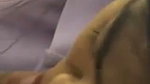 cute girl blowjob