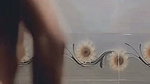 cute slim girl nude show and put in the brush in to ass hole
