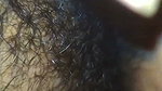 hairy pussy fucking couples