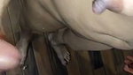 Girlfriend fuck with bf