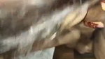 Girlfriend fuck with bf