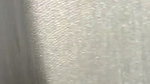 VID 20260223 WA0007
