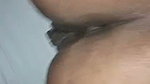 VID 20260223 WA0007
