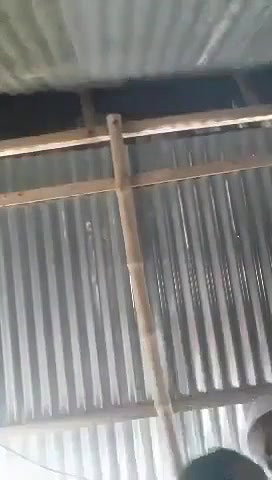 Chacha fucking
