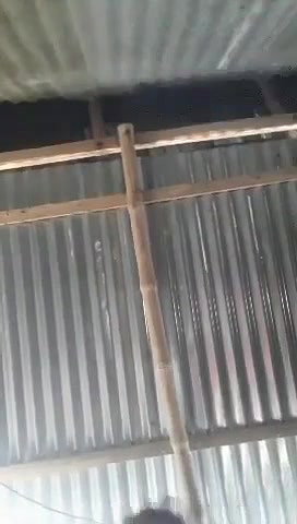 Chacha fucking
