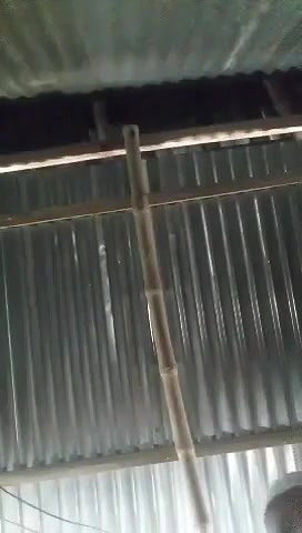 Chacha fucking