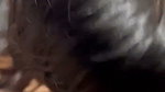 Hot girl Blowjob  fuck in Doggy